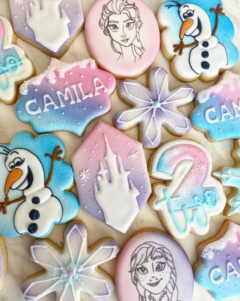 decorated cookies ddisney themed from frozen